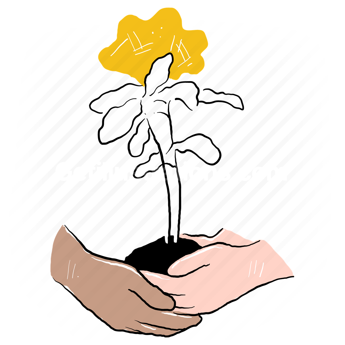 hand, gesture, plant, growth, investment, savings, hands